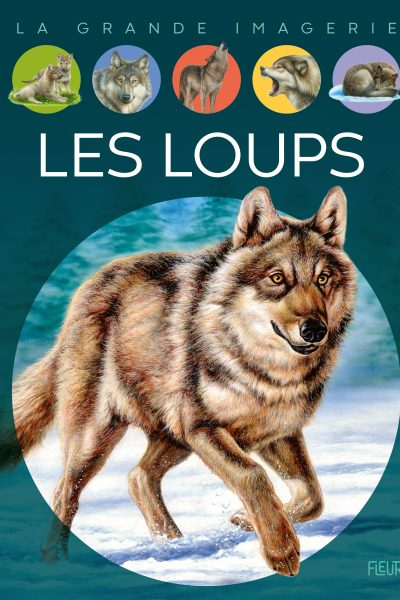 LA GRANDE IMAGERIE - LES LOUPS
