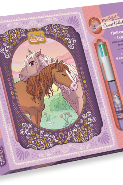 COFFRET CARNET COLLECTOR (AVEC BIC) - RANCH VANILLE