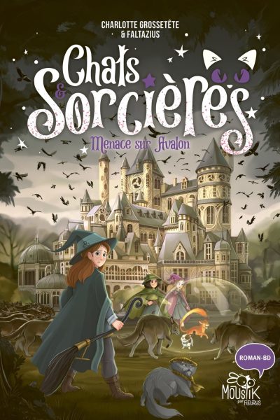 CHATS & SORCIERES - TOME 2 - MENACE SUR AVALON, TOME 2