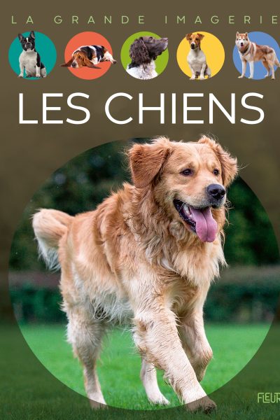 LES CHIENS
