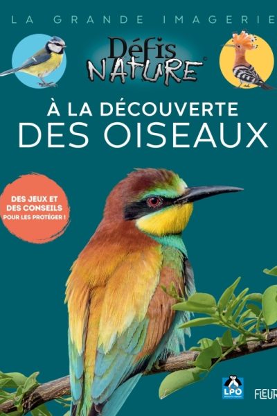 A LA DECOUVERTE DES OISEAUX