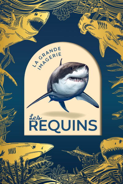 LES REQUINS