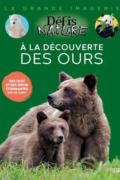 À LA DECOUVERTE DES OURS