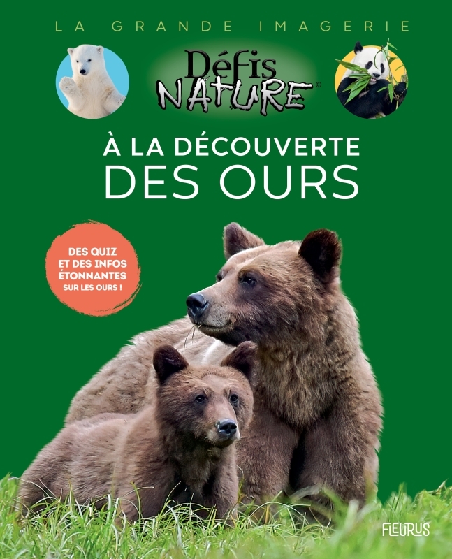 À LA DECOUVERTE DES OURS