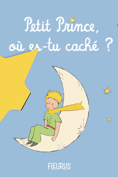 PETIT PRINCE, OU ES-TU CACHE ?
