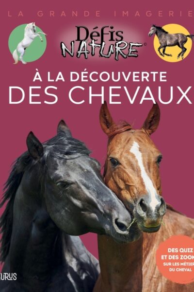 A LA DECOUVERTE DES CHEVAUX
