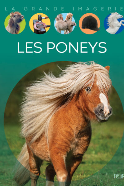 LES PONEYS