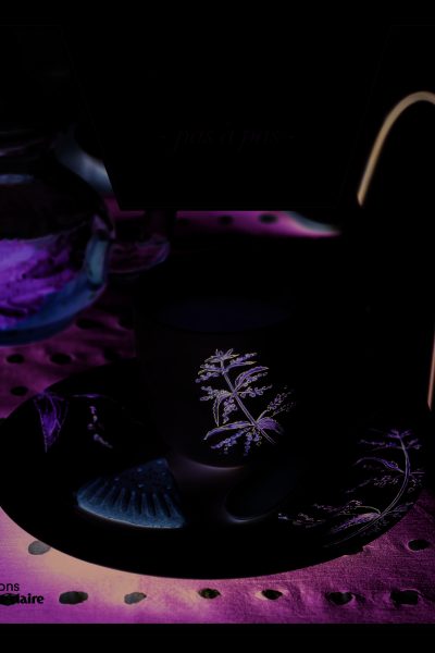 LA PEINTURE SUR PORCELAINE PAS A PAS