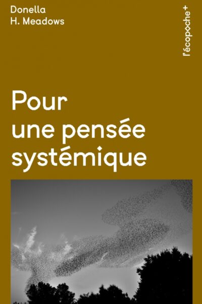 POUR UNE PENSEE SYSTEMIQUE