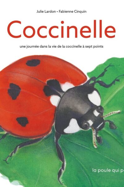 COCCINELLE, UNE JOURNEE DASN LA VIE DE LA COCINELLE A SEPT POINTS