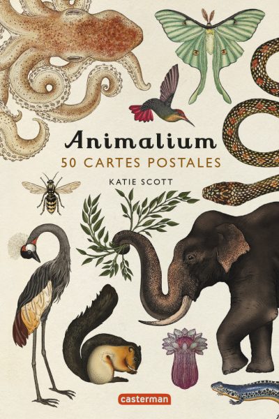 ANIMALIUM - 50 CARTES POSTALES