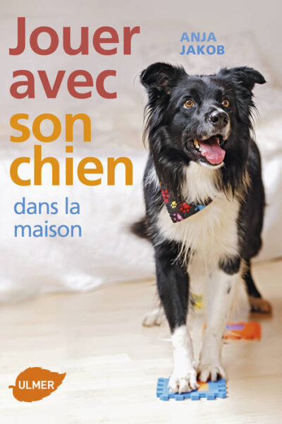 JOUER AVEC SON CHIEN DANS LA MAISON