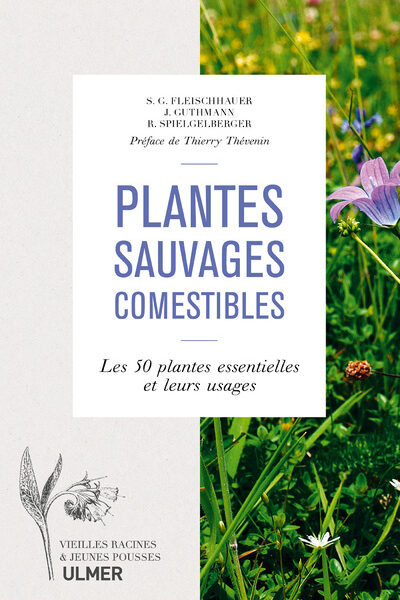 PLANTES SAUVAGES COMESTIBLES