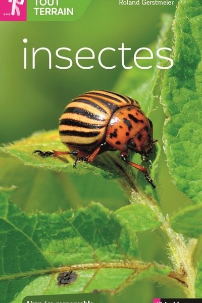 INSECTES