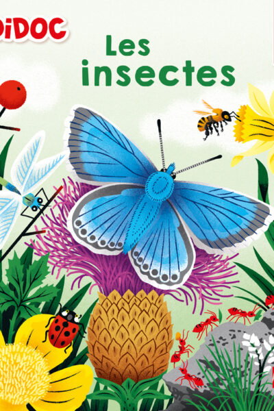 LES INSECTES T47 KIDIDOC 100% ANIME
