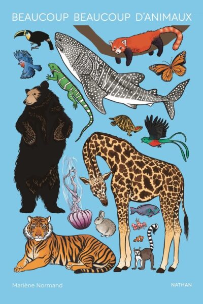 BEAUCOUP BEAUCOUP D'ANIMAUX