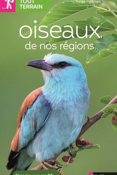 OISEAUX DE NOS REGIONS