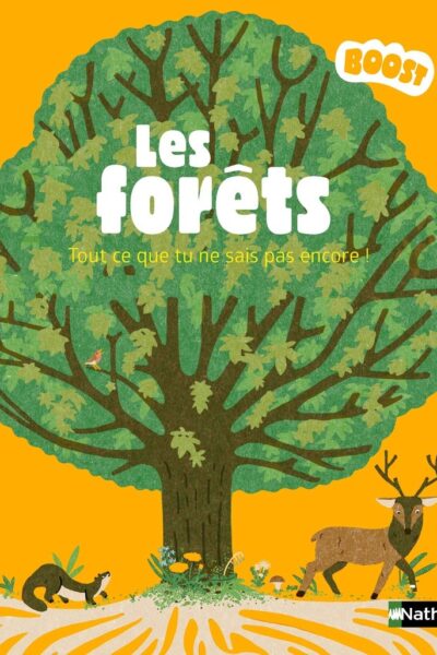 LES FORÊTS, TOUT CE QUE TU NE SAIS PAS ENCORE