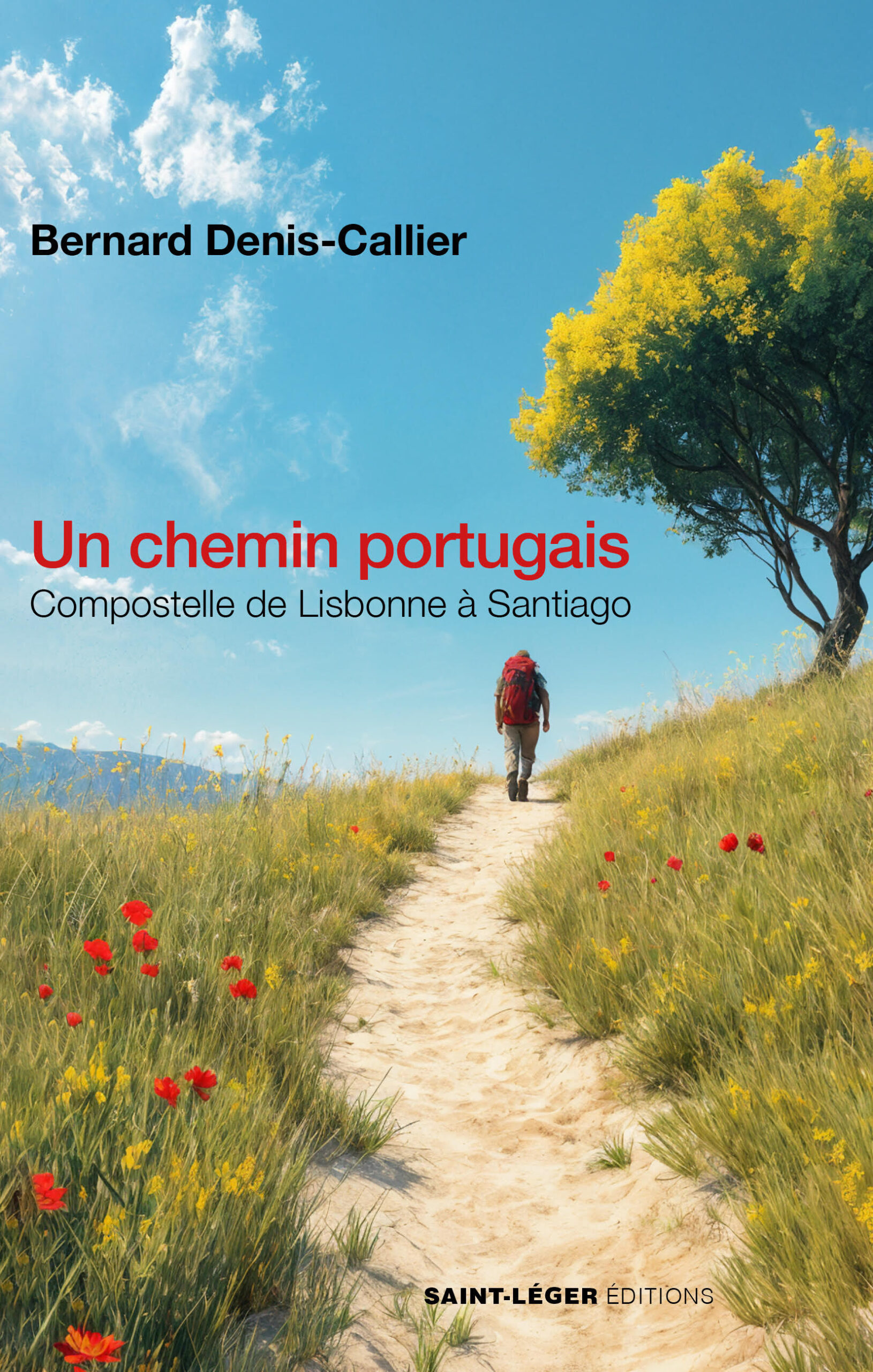 UN CHEMIN PORTUGAIS