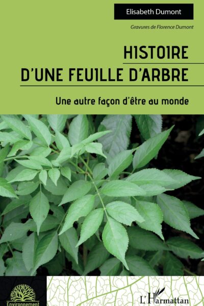 HISTOIRE D'UNE FEUILLE D'ARBRE : UNE AUTRE FACON D'ÊTRE AU MONDE