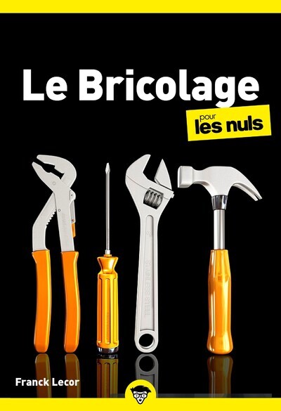 LE BRICOLAGE POUR LES NULS, POCHE, 4E ED