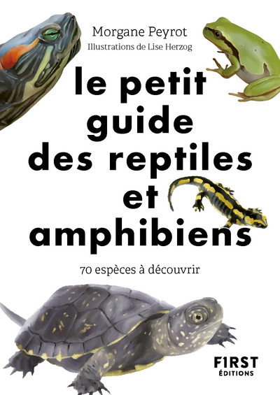 LE PETIT GUIDE NATURE DES REPTILES ET AMPHIBIENS, 70 ESPECES A DECOUVRIR