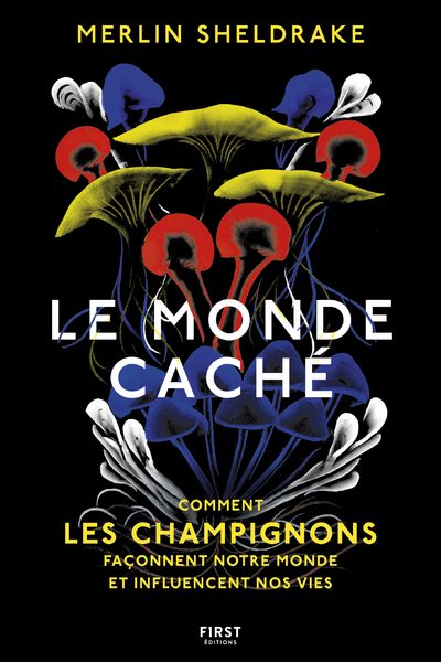 LE MONDE CACHE