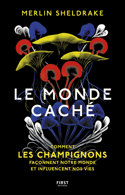 LE MONDE CACHE