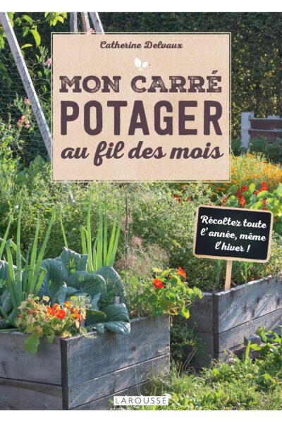 MON CARRE POTAGER AU FIL DES MOIS