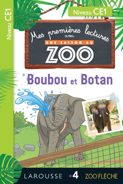 1ERES LECTURES NIVEAU CE1 BOUBOU ET BOTAN