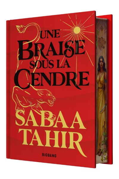UNE BRAISE SOUS LA CENDRE