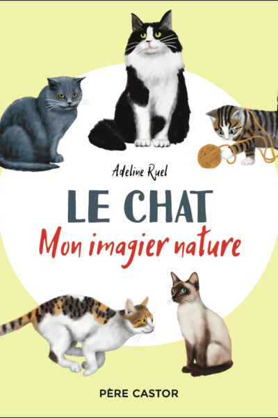 LE CHAT