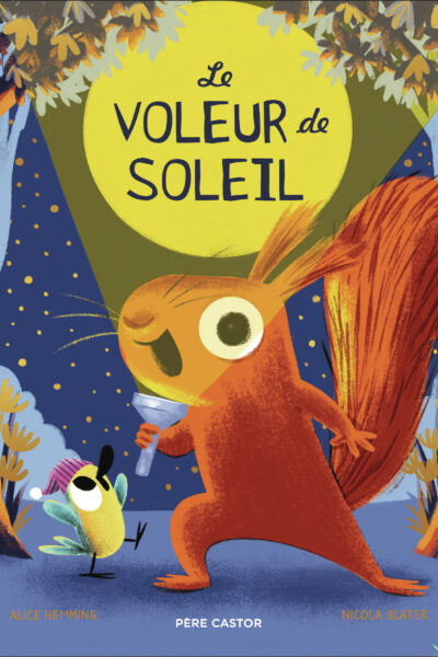 LE VOLEUR DE SOLEIL