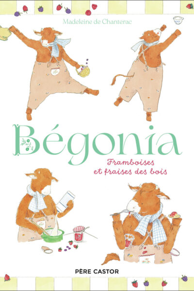 BEGONIA - FRAMBOISES ET FRAISES DES BOIS