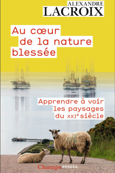 AU COEUR DE LA NATURE BLESSEE - APPRENDRE A VOIR LES PAYSAGES DU XXI  SIECLE