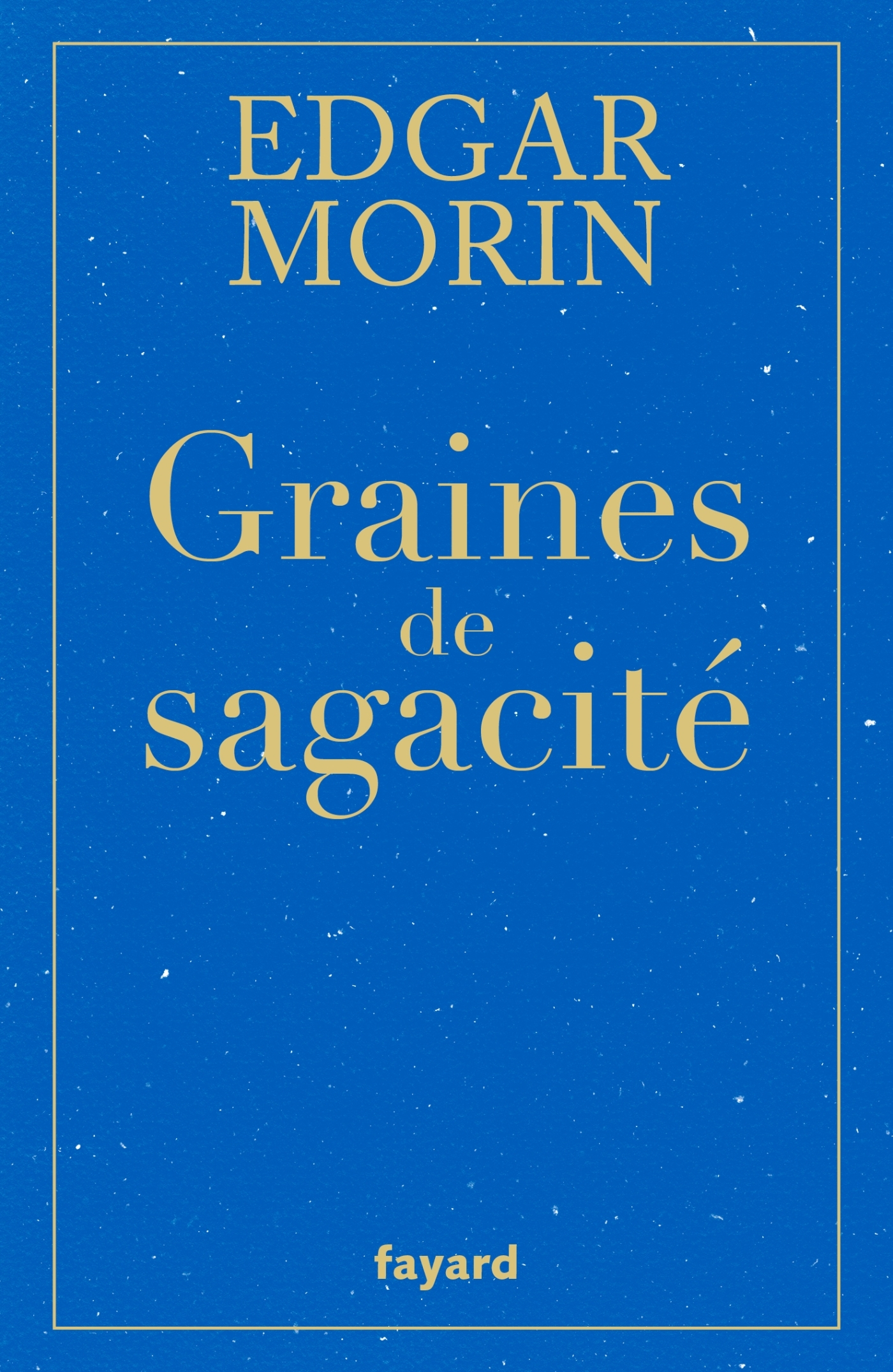 GRAINES DE SAGACITE