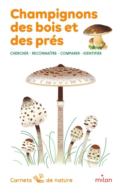 CHAMPIGNONS DES BOIS ET DES PRES