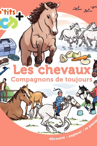 LES CHEVAUX, COMPAGNONS DE TOUJOURS - LES P'TITS DOCS+