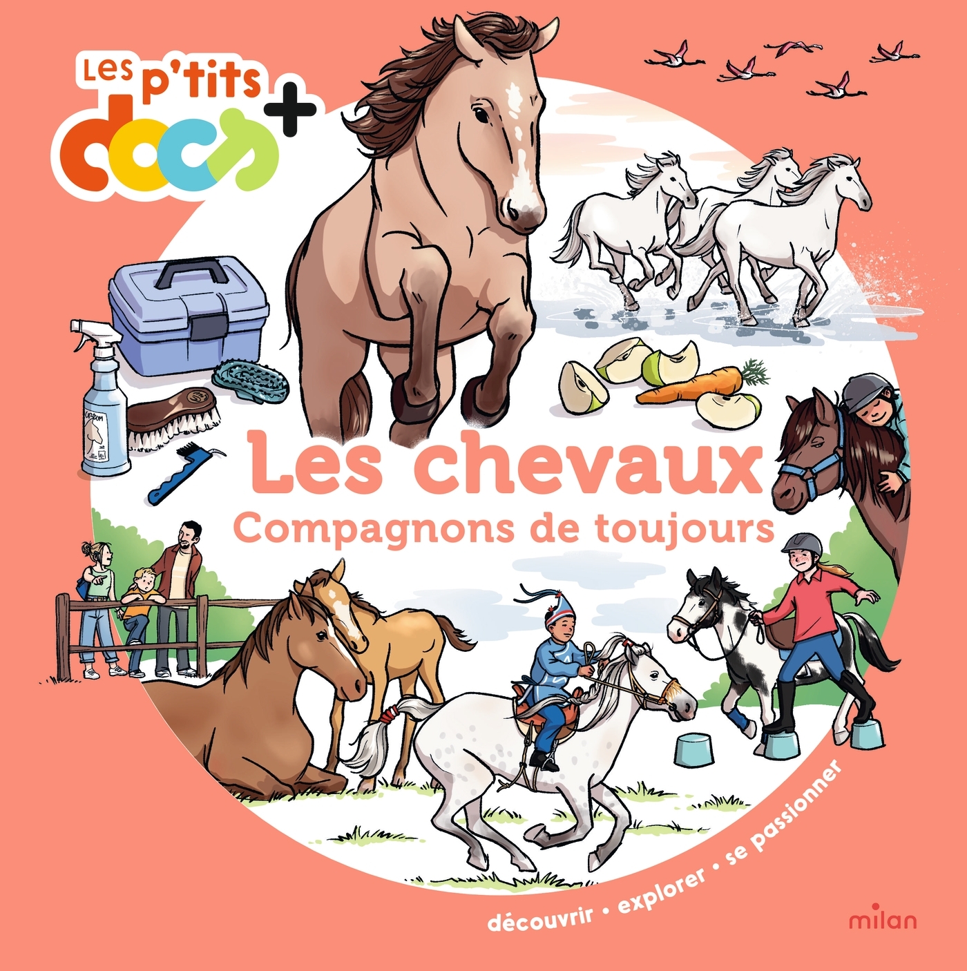 LES CHEVAUX, COMPAGNONS DE TOUJOURS - LES P'TITS DOCS+