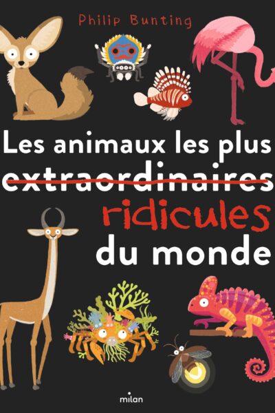 LES ANIMAUX LES PLUS RIDICULES DU MONDE