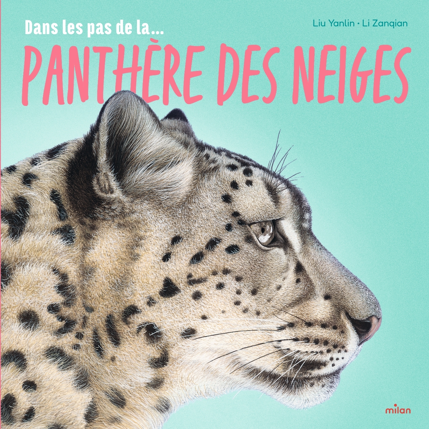 DANS LES PAS DE LA... PANTHERE DES NEIGES