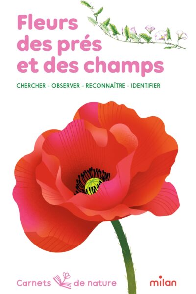 FLEURS DES PRES ET DES CHAMPS : CHERCHER-OSBERVER-RECONNAÎTRE-IDENTIFIER