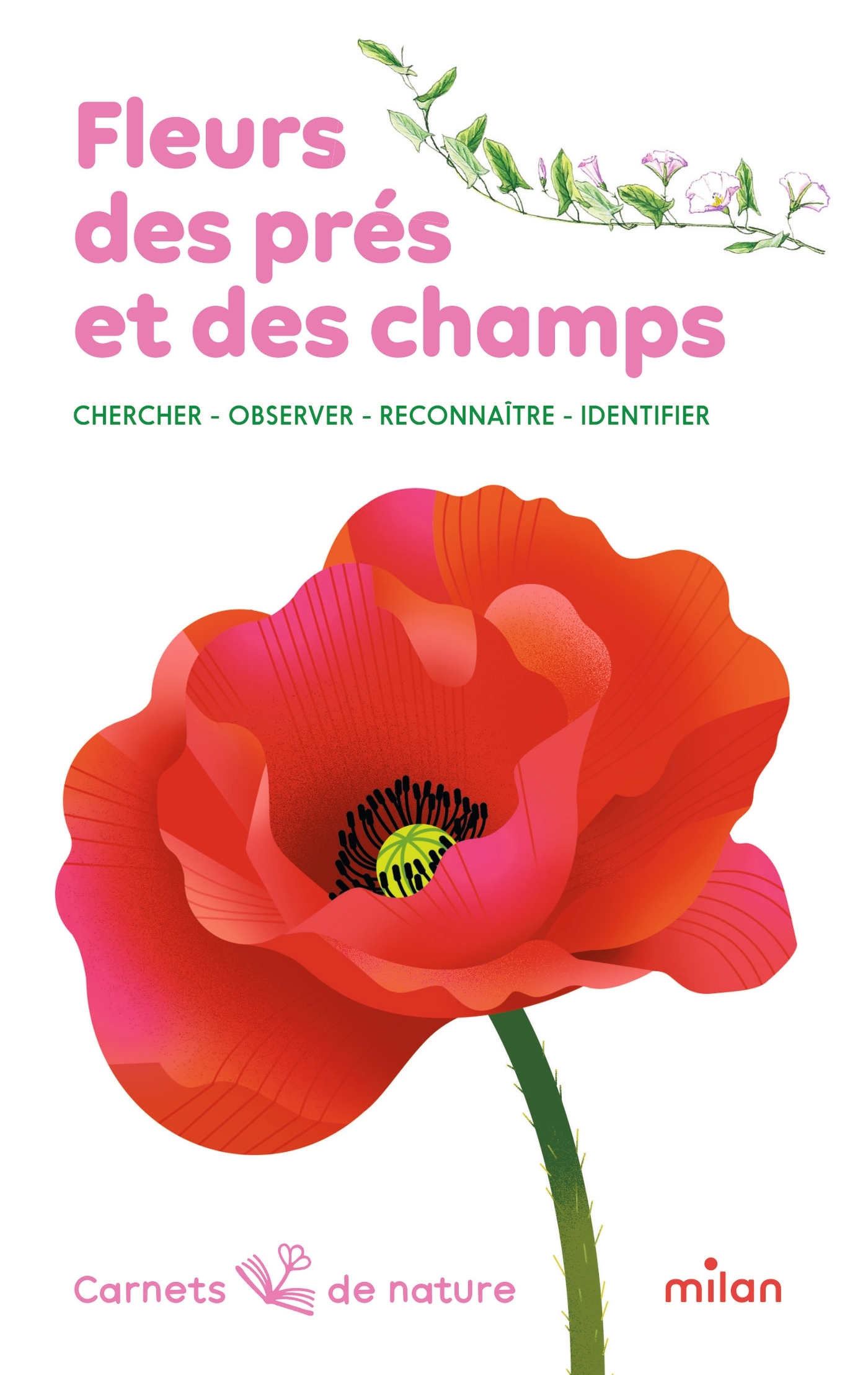 FLEURS DES PRES ET DES CHAMPS : CHERCHER-OSBERVER-RECONNAÎTRE-IDENTIFIER