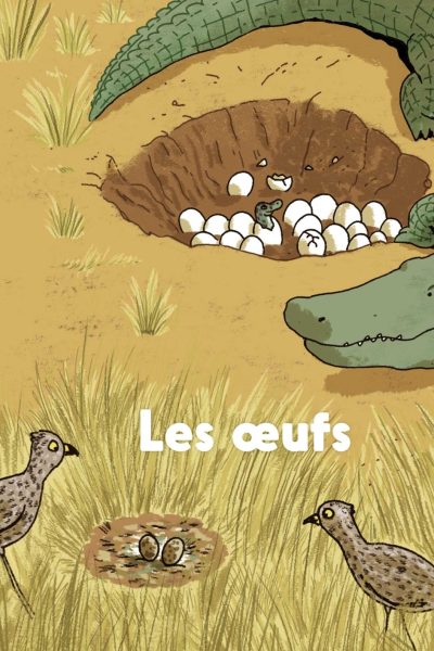LES OEUFS - MES P'TITS DOCS 4-7 ANS