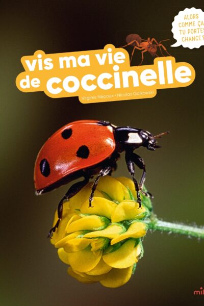 VIS MA VIE DE COCCINELLE