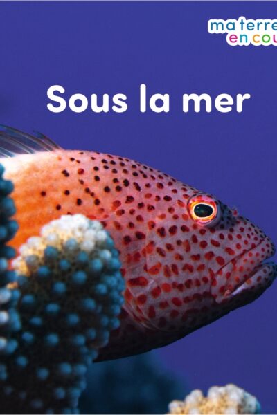 SOUS LA MER - MA TERRE EN COULEURS