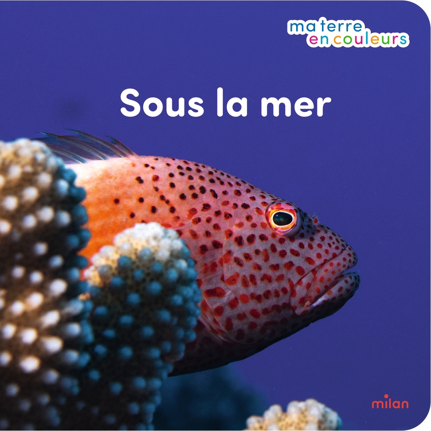 SOUS LA MER - MA TERRE EN COULEURS