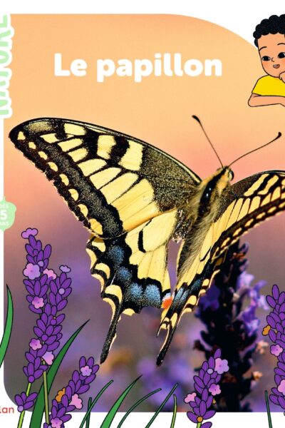 LE PAPILLON