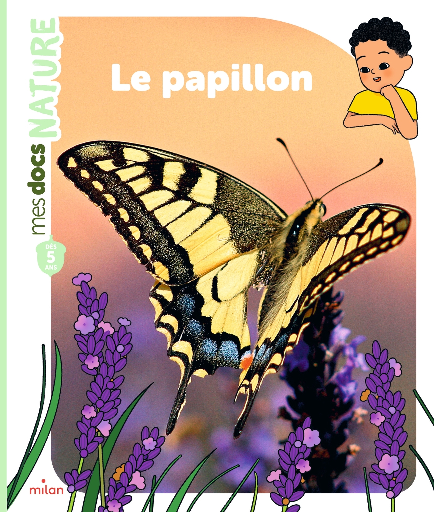 LE PAPILLON