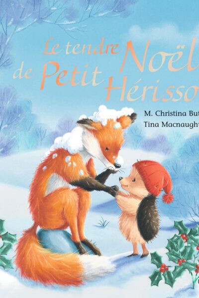 LE TENDRE NOEL DE PETIT HERISSON TOUT-CARTON